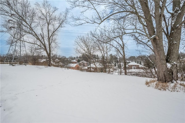 view of yard covered in snow