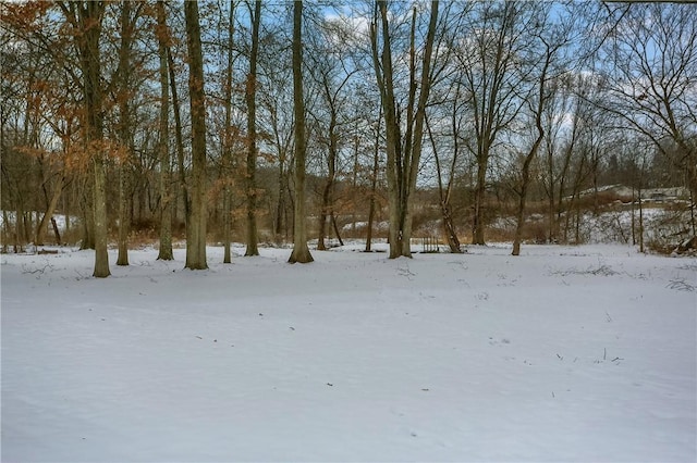 view of yard layered in snow