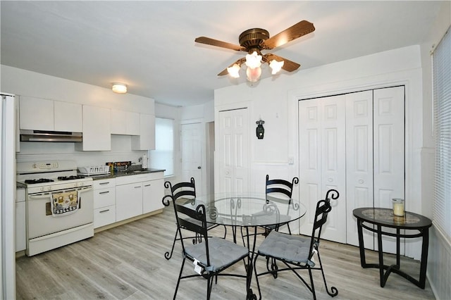 dining room featuring ceiling fan and light hardwood / wood-style flooring