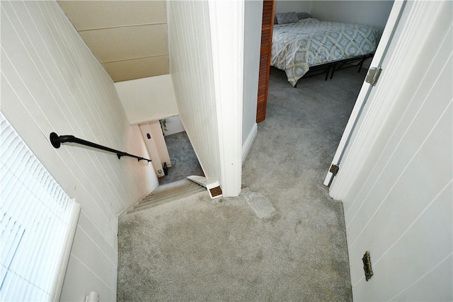 stairway featuring carpet and wood walls