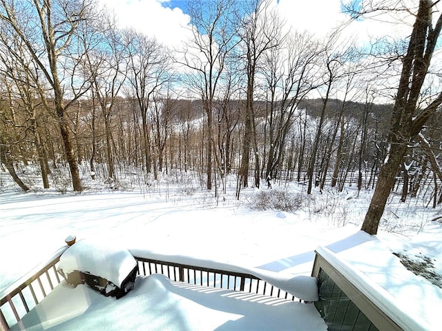 view of yard covered in snow