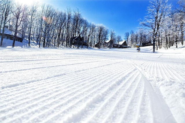 view of yard covered in snow