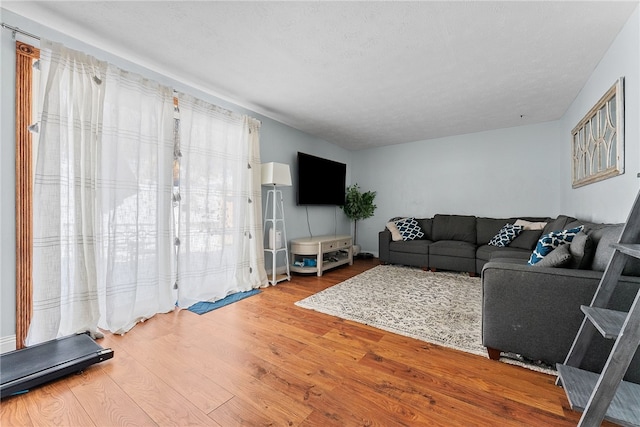 living room featuring plenty of natural light and hardwood / wood-style flooring