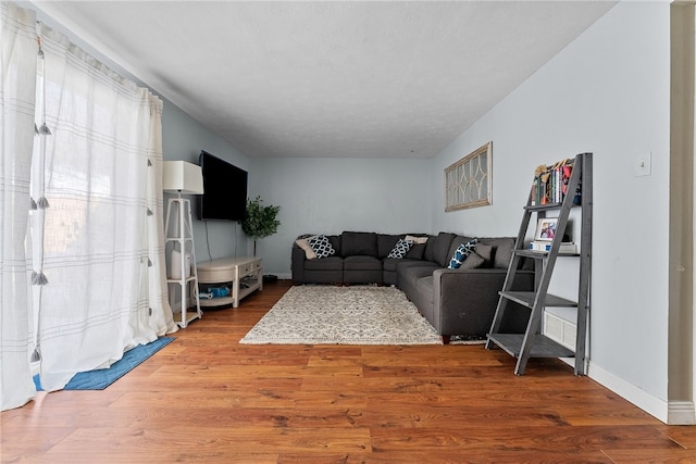 living room with hardwood / wood-style flooring