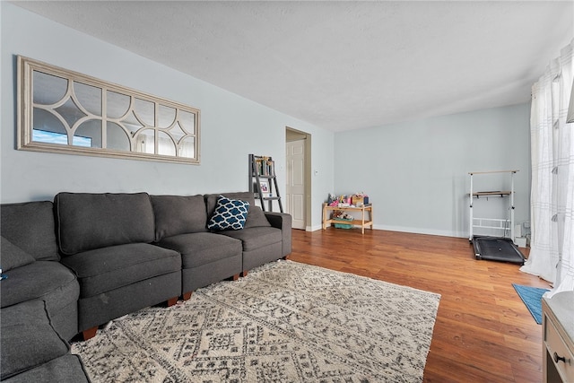 living room with hardwood / wood-style flooring