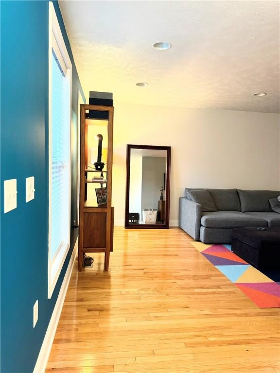 living room with light hardwood / wood-style flooring