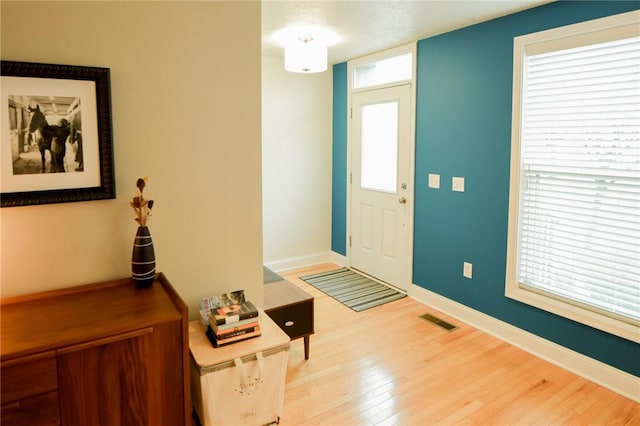 foyer with hardwood / wood-style flooring and plenty of natural light