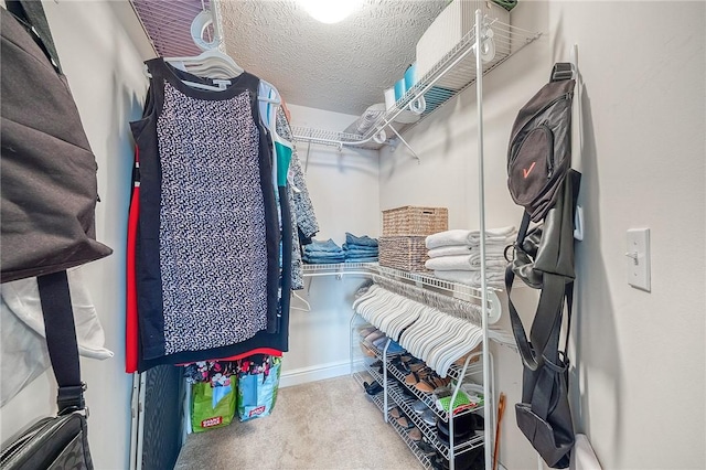 walk in closet featuring carpet flooring