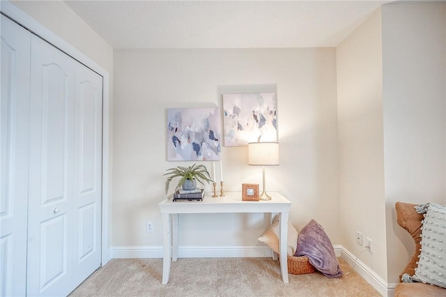 home office with light carpet