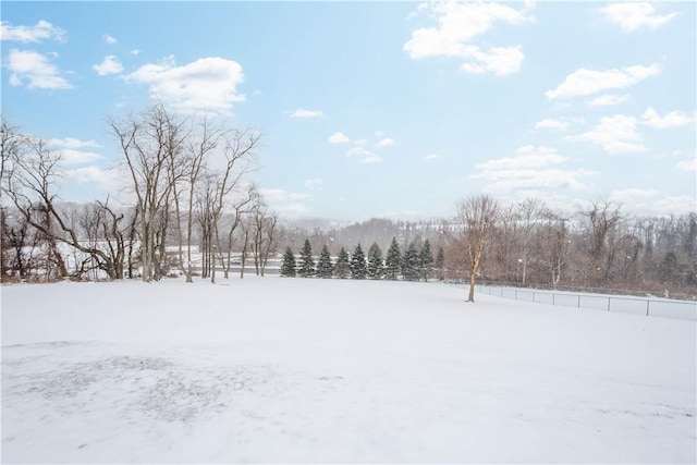 view of yard layered in snow