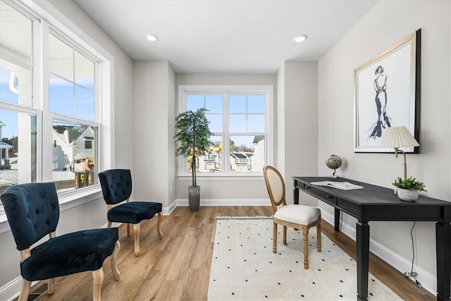 office space featuring light hardwood / wood-style flooring