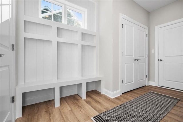 mudroom featuring wood-type flooring