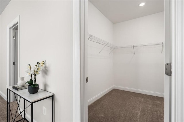 walk in closet featuring dark colored carpet