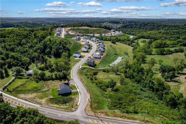 aerial view