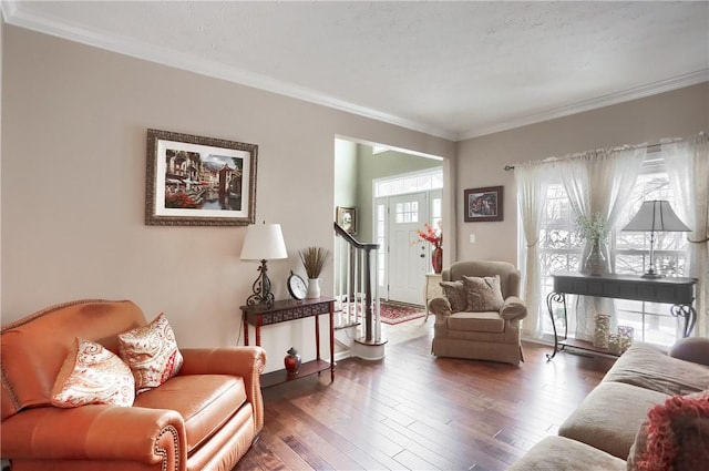 living room featuring dark wood-type flooring and crown molding