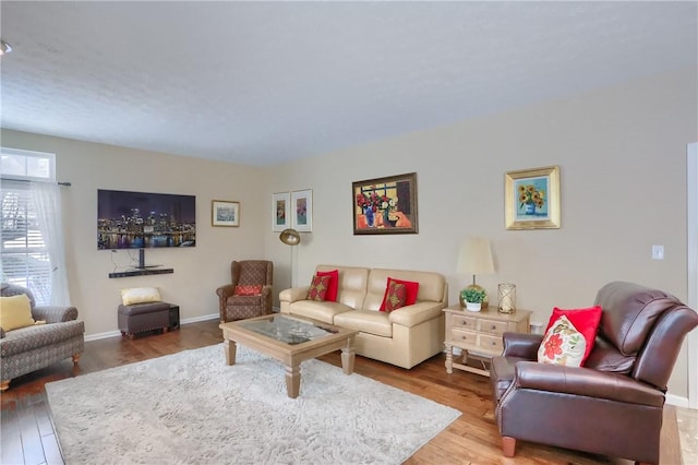 living room with hardwood / wood-style flooring