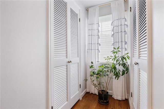 corridor featuring dark wood-type flooring and plenty of natural light