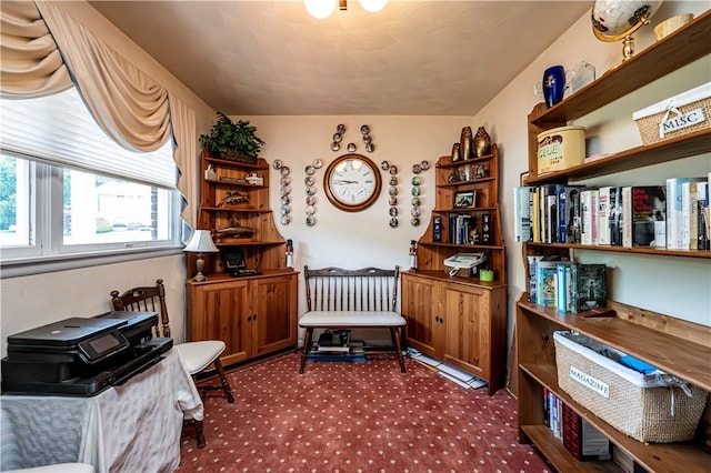 sitting room with carpet flooring