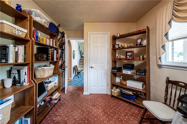 interior space featuring carpet