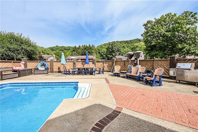 view of swimming pool featuring a patio area