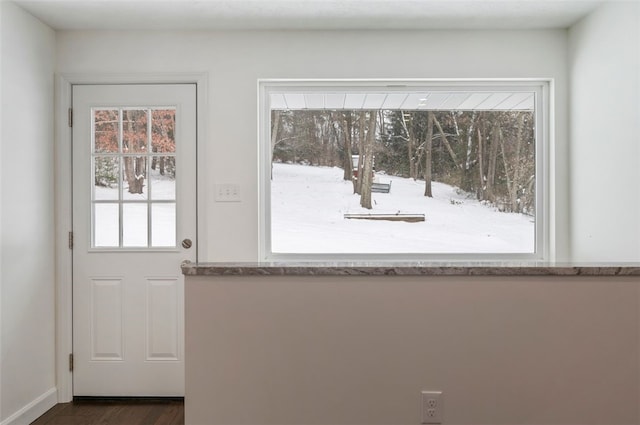 doorway with dark hardwood / wood-style floors