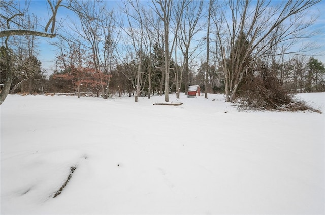 view of yard layered in snow