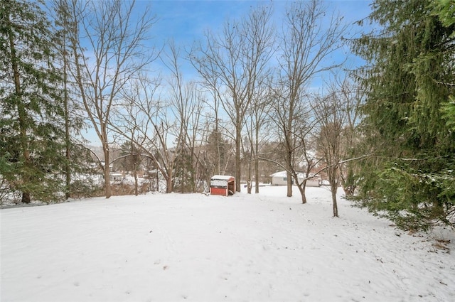 view of yard covered in snow