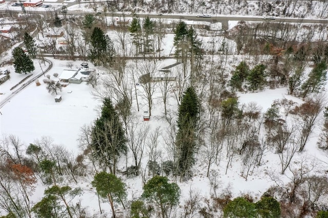 view of snowy aerial view