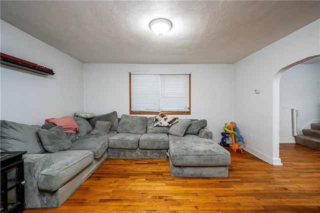 living room with wood-type flooring