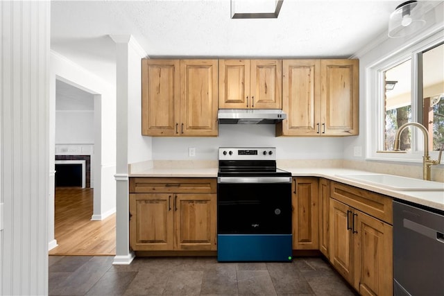 kitchen with sink, dishwasher, and stainless steel electric range