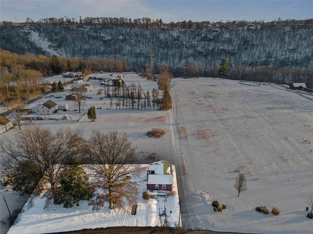 view of snowy aerial view