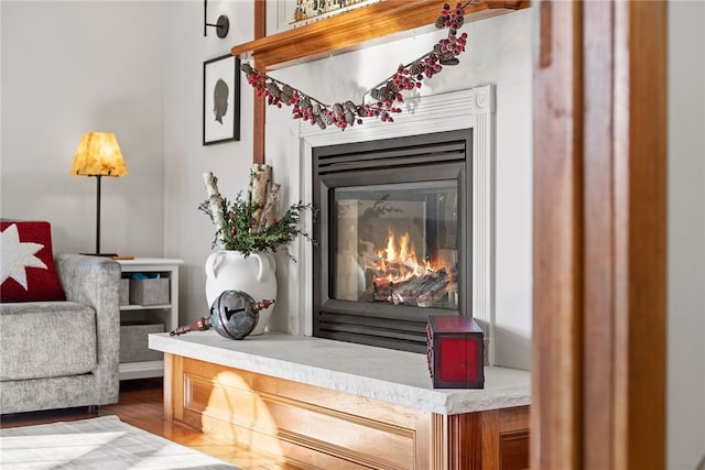 room details with hardwood / wood-style flooring