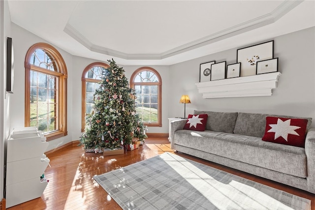 living room with crown molding, a wealth of natural light, hardwood / wood-style flooring, and a tray ceiling