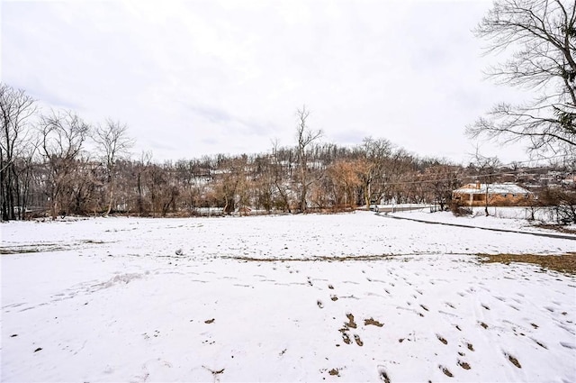 view of yard layered in snow