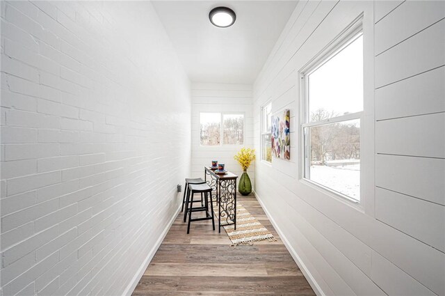 hall featuring plenty of natural light and light hardwood / wood-style flooring