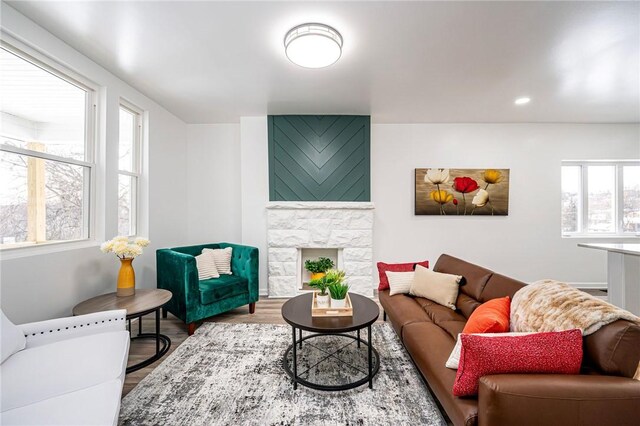 living room featuring a fireplace and wood-type flooring