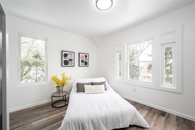 bedroom with dark hardwood / wood-style floors