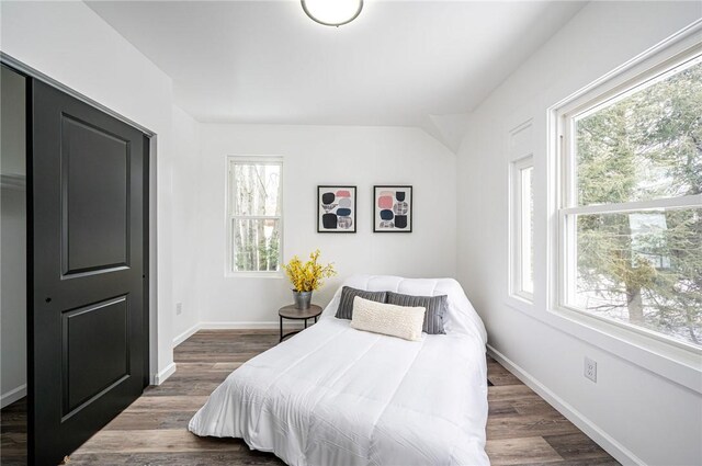 bedroom featuring dark hardwood / wood-style floors