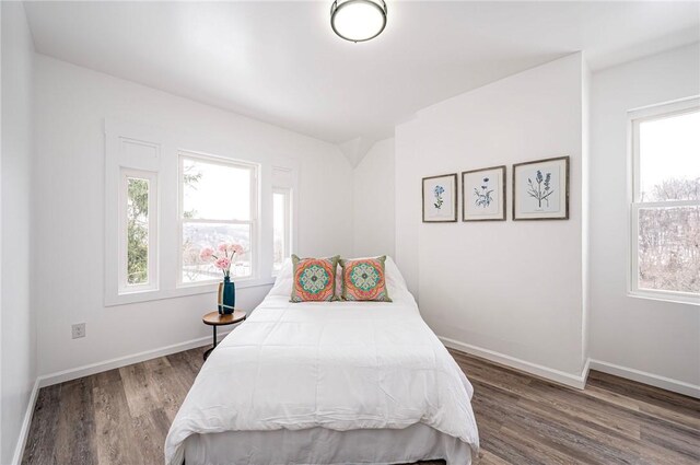 bedroom featuring dark wood-type flooring