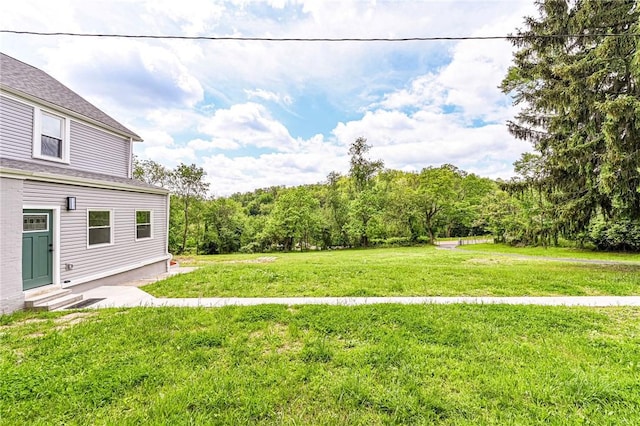 322 Crane Ave, Rear, Beechview, PA 15216 - view of green lawn
