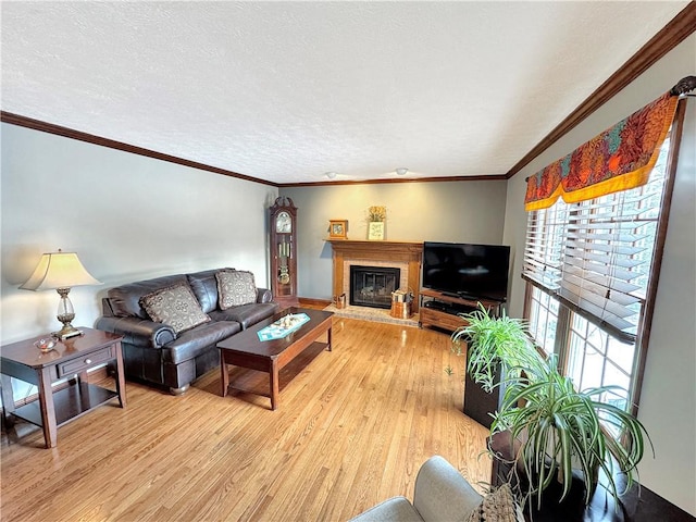 living room featuring light wood-type flooring, a textured ceiling, and crown molding