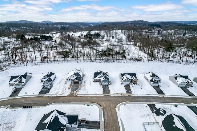 view of snowy aerial view