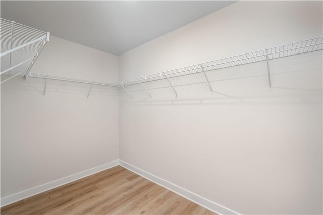 walk in closet with wood-type flooring