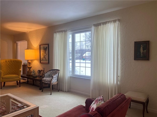 living area featuring carpet flooring