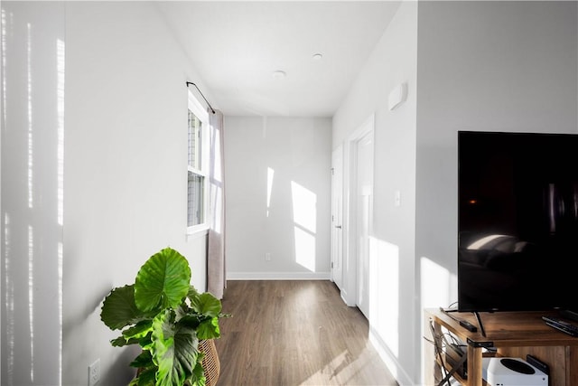 hallway with hardwood / wood-style flooring