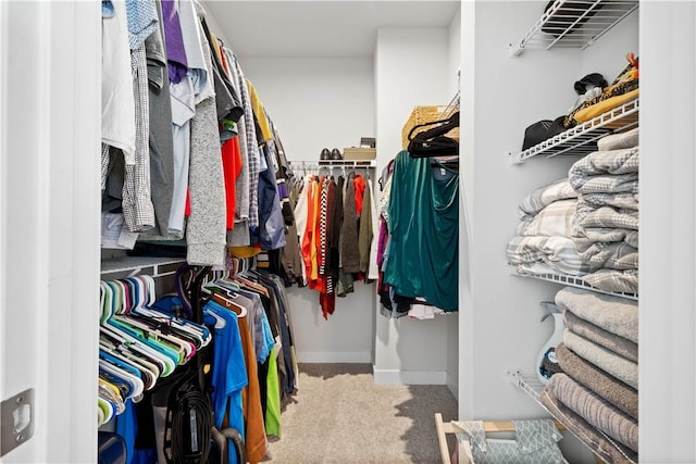 spacious closet featuring carpet floors