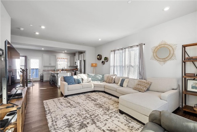 living room with dark hardwood / wood-style floors