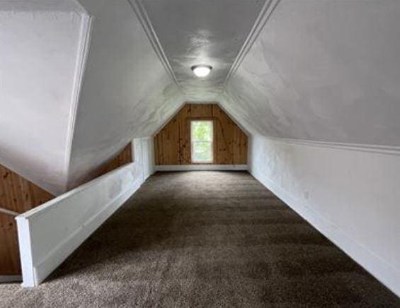 additional living space featuring dark colored carpet and vaulted ceiling