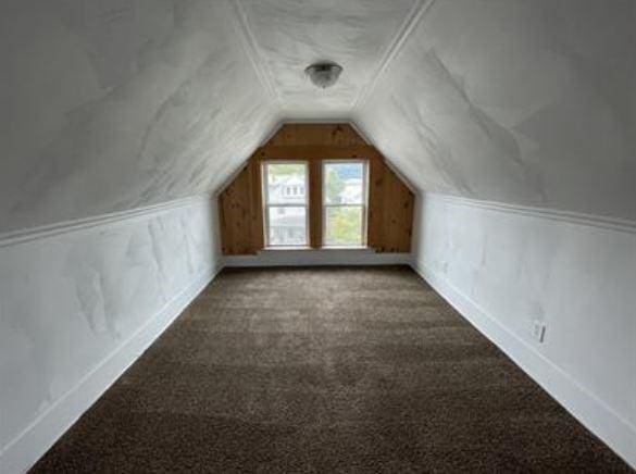 additional living space with carpet floors and vaulted ceiling