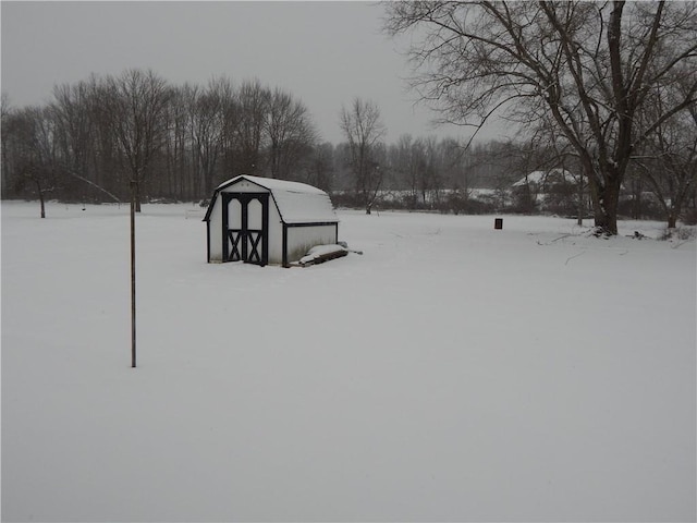 view of snowy yard